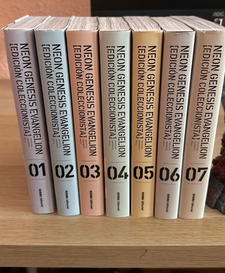 NEON GENESIS EVANGELION ED. COLECCIONISTA Completa