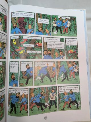 Tintin