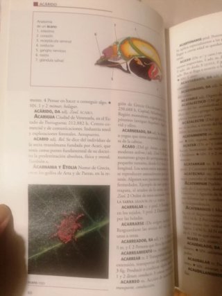 Enciclopedia universal, y más (30 tomos)