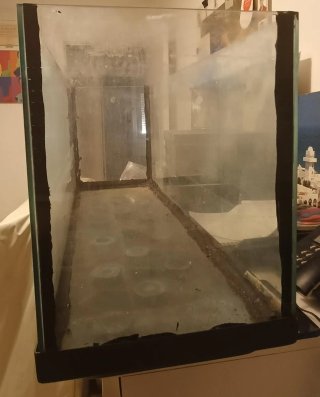 Pecera grande de cristal