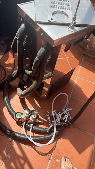 Grifo de Cerveza