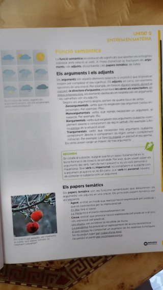 Celestina Vigneaux. Batxillerat. Llengua catalana