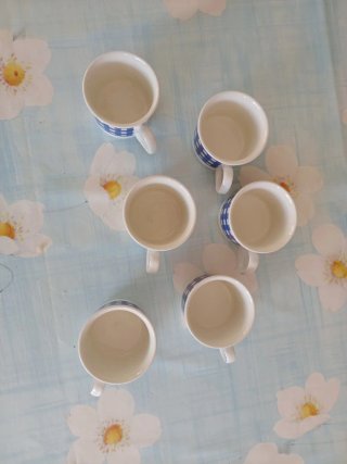 Tazas Porcelana Azul Vichy Pontesa x6
