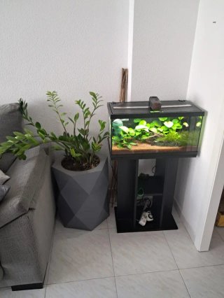 Acuario completo con plantas y filtro