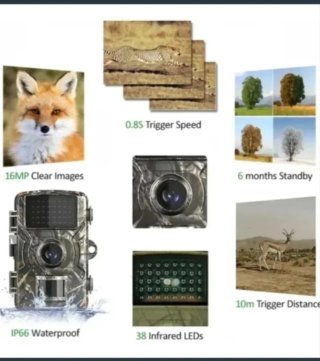 Cámara Caza Fototrampeo