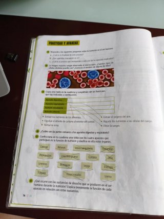 Proyecto: FanFest. Ciencias de la Naturaleza 5 ...