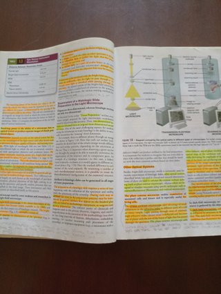 Histology A Text and Atlas : with Correlated Ce...