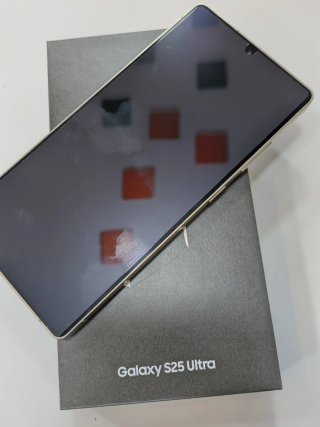 Samsung Galaxy S25 Ultra Gris