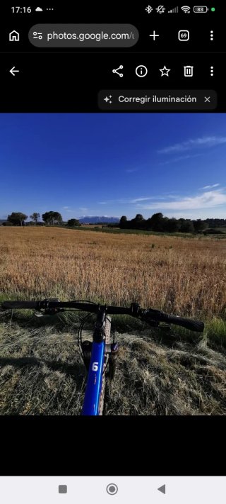 Bici Trek Marlin 6 Ruote 29