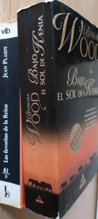 Lote 2 libros Narrativa 3€