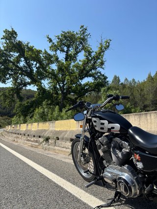 Harley Davidson Sportster 883