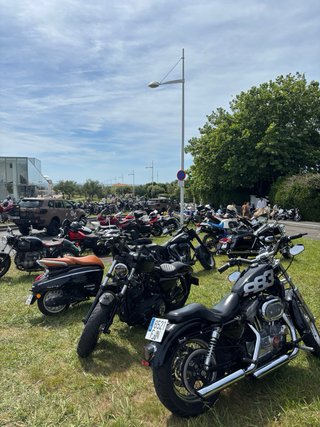 Harley Davidson Sportster 883