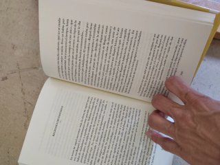 El Dueño De LA Herida (Spanish Edition)