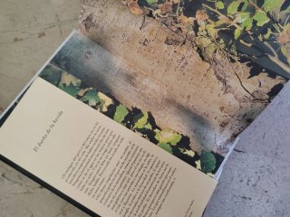 El Dueño De LA Herida (Spanish Edition)