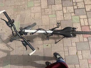 Bici BIOCYCLE