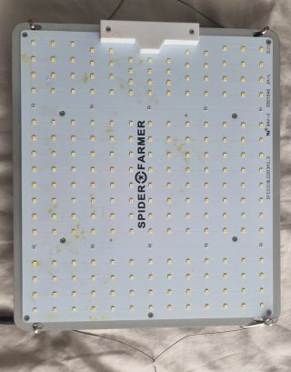 Spider Farmer SF-1000 LED 100W Usado