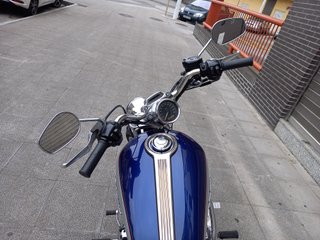 Harley Davidson Sportster 1200 XL Carburacion