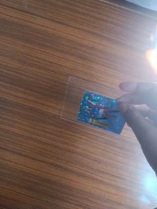 Cromo Panini mundial 00 NUEVO