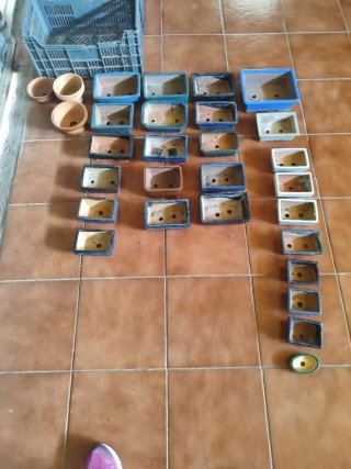 26 Macetas Bonsai Cerámica