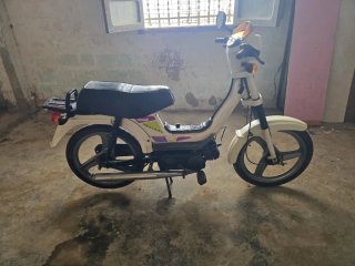 Derbi Variant Top