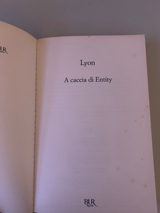 A caccia di Entity
