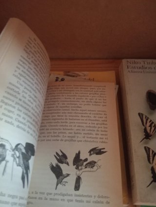 Libros de Etología Antropología