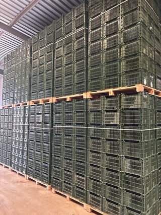 Cajas de plástico verdes apilables