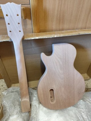 Guitarra Les Paul Junior para montar