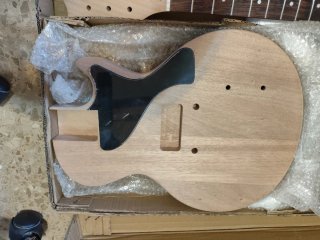 Guitarra Les Paul Junior para montar