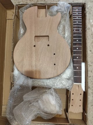 Guitarra Les Paul Junior para montar