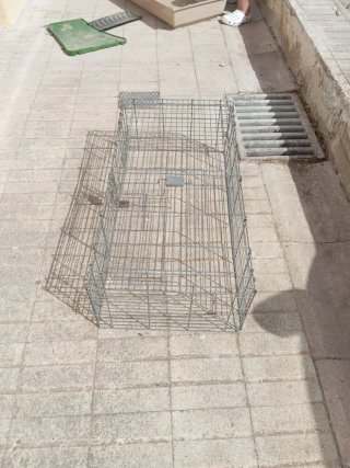 Jaula Conejos y Cobayas Segunda Mano