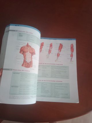 Biología humana. Introducción a las ciencias de...