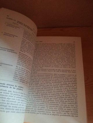 Teorías de aprendizaje