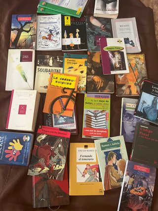 26 libros variados , sobretodo de instituto