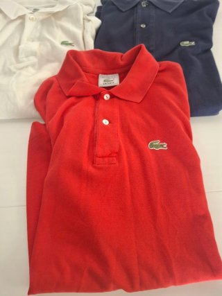 Lote 10 polos Lacoste