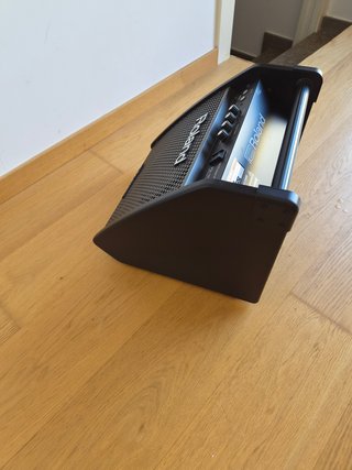 Amplificador Roland PM100