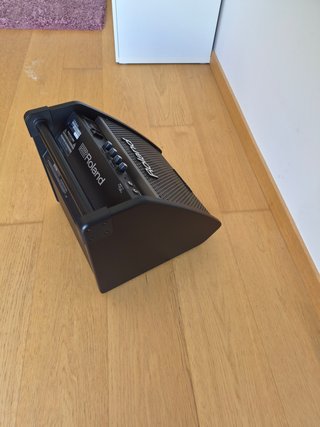Amplificador Roland PM100