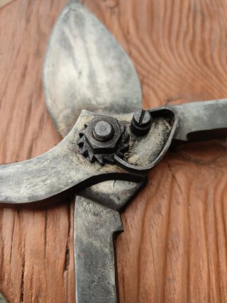 Tijeras de podar antiguas para cepas uva