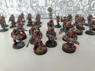 Solar Auxilia pintados Warhammer 40000