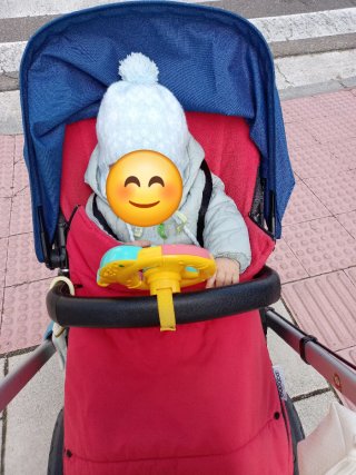 Carrito Bugaboo Camaleon