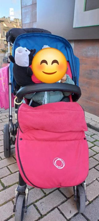 Carrito Bugaboo Camaleon