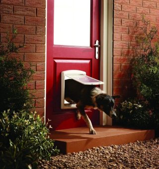 Puerta Mascota PetSafe Mediana Blanca Nueva