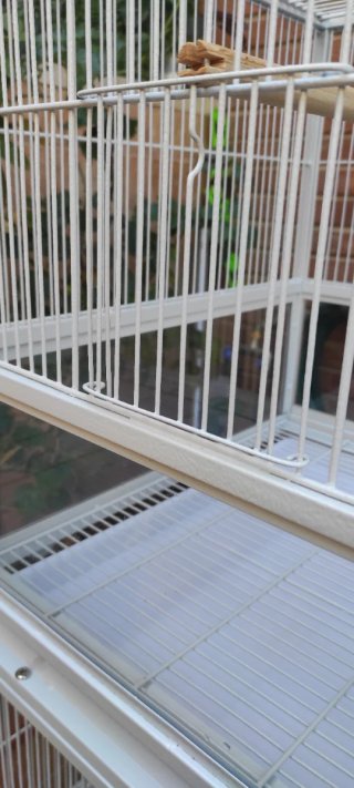 Jaula para pájaros Agapornis Ninfas