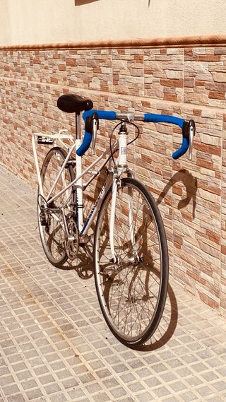 Bicicleta G.A.C. Paseo
