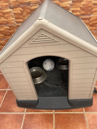 Caseta Perro Grande Beige