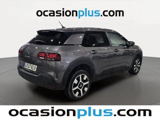 Citroen C4 Cactus BlueHDi 100 S&S Shine 73 kW (100 CV)