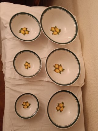 Set 5 Ciotole Porcellana Limoni