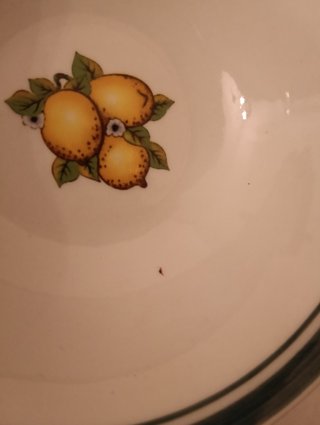 Set 5 Ciotole Porcellana Limoni