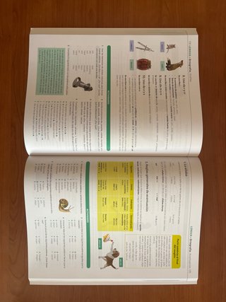 Lengua castellana y Literatura 1 ESO RADIX