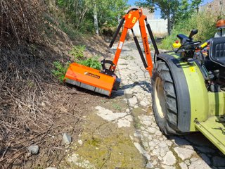 Desbrozadora Tifermec 450 L Brazo Lateral